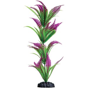 Underwater Treasures Heart Fern Fish Plant, 12-in