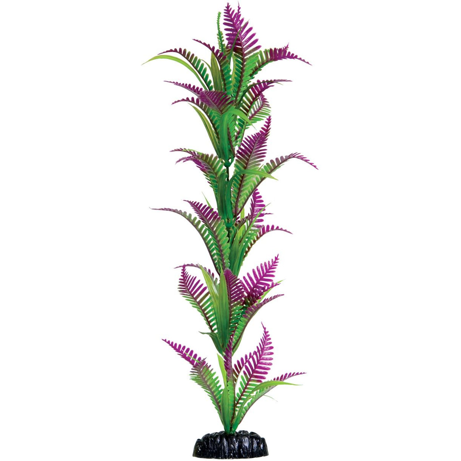 Underwater Treasures Heart Fern Fish Plant, 16-in