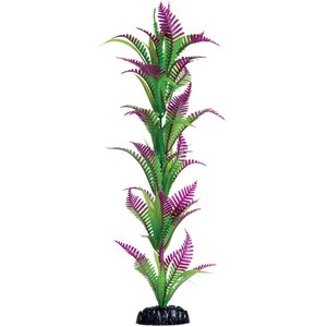 Underwater Treasures Heart Fern Fish Plant, 16-in