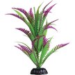 Show in main carousel: Underwater Treasures Heart Fern Fish Plant, 8-in slide 1 of 2