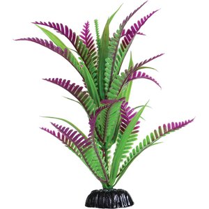 Underwater Treasures Heart Fern Fish Plant, 8-in