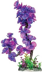 Underwater Treasures Lavender Lily Fish Plant, 14-in