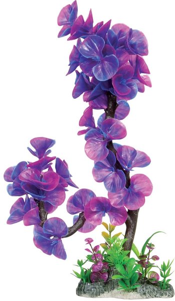 Underwater Treasures Lavender Lily Fish Plant
