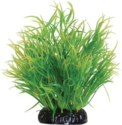 Underwater Treasures Lemon Grass Fish Ornament, 6-in