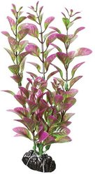 Underwater Treasures Ludwigia Fish Plant