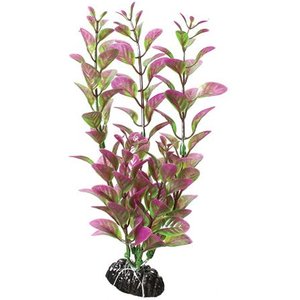 Underwater Treasures Ludwigia Fish Plant