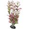 Show in main carousel: Underwater Treasures Ludwigia Fish Plant slide 1 of 1