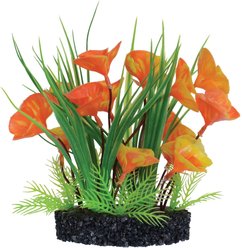 Underwater Treasures Luna Lily Bush Fish Plant, 7-in