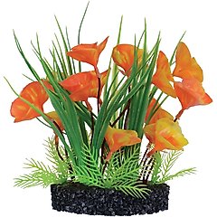Underwater Treasures Luna Lily Bush Fish Plant, 7-in