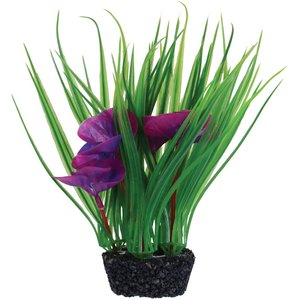 Underwater Treasures Luna Lily Fish Plant, Purple
