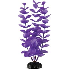 Underwater Treasures Magenta Bacopa Fish Ornament, Magenta, 8-in