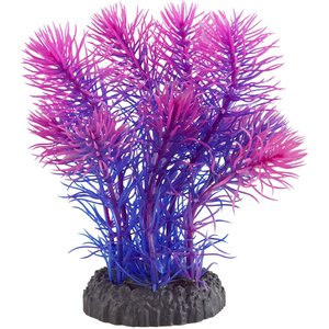 Underwater Treasures Magenta Cabomba Fish Ornament