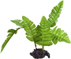Underwater Treasures Maidenhair Fern Fish Ornament