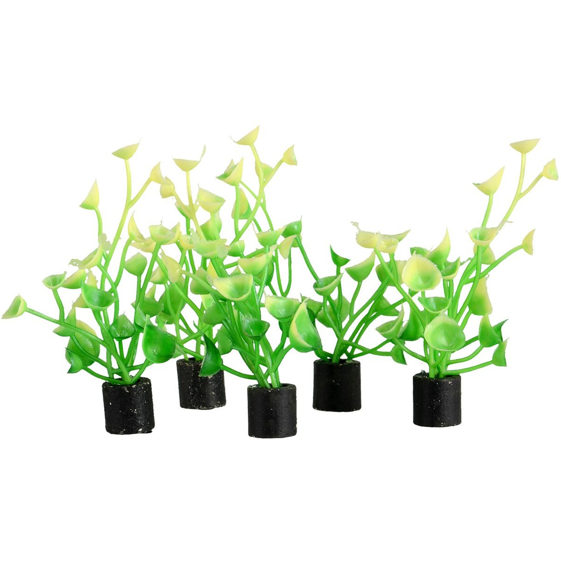 Underwater Treasures Mini Plant Baby Tear Fish Ornament, 5 count