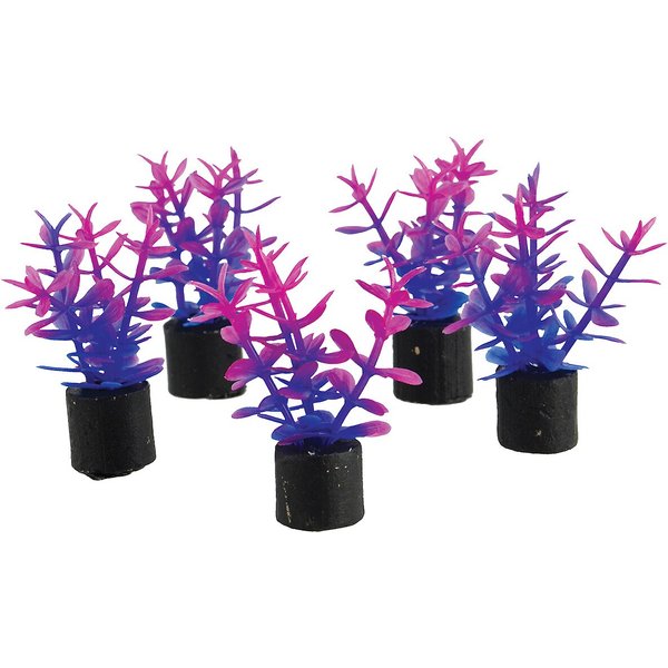 Underwater Treasures Mini Moss Rock Fish Ornament, 5 count