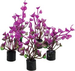 Underwater Treasures Mini Plant Purple Ear Fish Ornament, 5 count