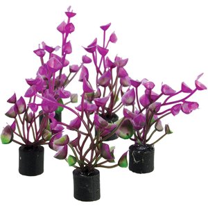 Underwater Treasures Mini Plant Purple Ear Fish Ornament, 5 count