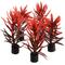 Show in main carousel: Underwater Treasures Mini Plant Red & Brown Fish Ornament, 3-in, 5 count slide 1 of 1