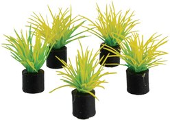 Underwater Treasures Mini Plant Spring Grass Fish Ornament, 5 count