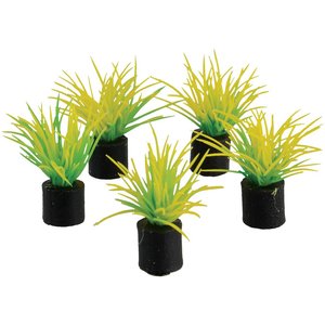 Underwater Treasures Mini Plant Spring Grass Fish Ornament, 5 count