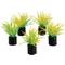 Show in main carousel: Underwater Treasures Mini Plant Spring Grass Fish Ornament, 5 count slide 1 of 1