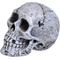 Show in main carousel: Underwater Treasures Mini Skull Fish Aquarium Ornament slide 1 of 2