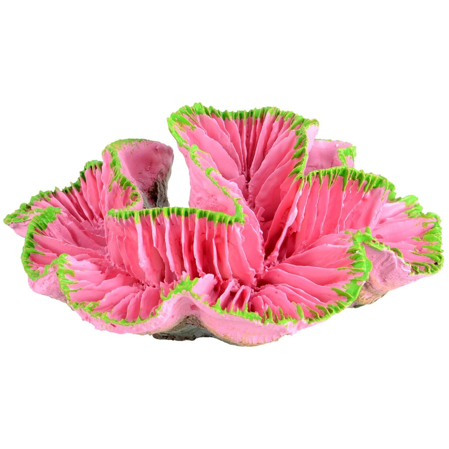 Underwater Treasures Open Brain Coral Fish Ornament, Pink