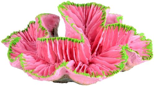 Show full view: Underwater Treasures Open Brain Coral Fish Ornament, Pink slide 1 of 2