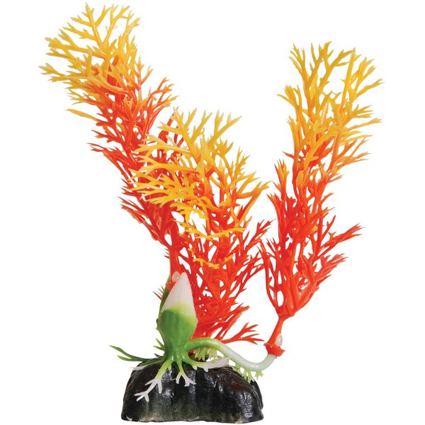 Underwater Treasures Orange Ambulia Fish Ornament