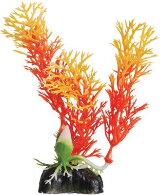 Show full view: Underwater Treasures Orange Ambulia Fish Ornament slide 1 of 1