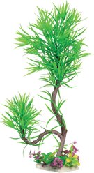 Underwater Treasures Paradise Fern Fish Plant, Green
