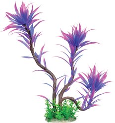 Underwater Treasures Paradise Fern Fish Plant, Lilac
