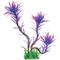 Show in main carousel: Underwater Treasures Paradise Fern Fish Plant, Lilac slide 1 of 1