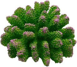 Underwater Treasures Polyped Coral Fish Ornament, Green