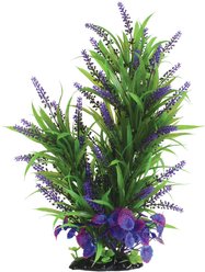 Underwater Treasures Purple Passion Fish Plant, 16-in