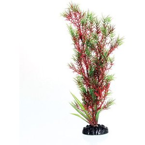 Underwater Treasures Red/Green Springeri Fish Plant, 12-in