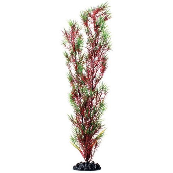 Underwater Treasures Red Ludwigia Fish Plant