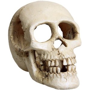 Underwater Treasures Skull Fish Ornament