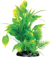 Underwater Treasures Spade Fern Fish Plant, 8.5-in