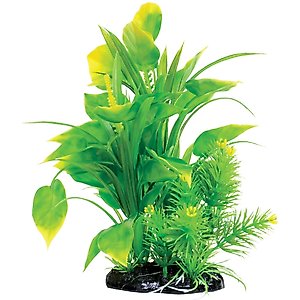 Underwater Treasures Spade Fern Fish Plant, 8.5-in
