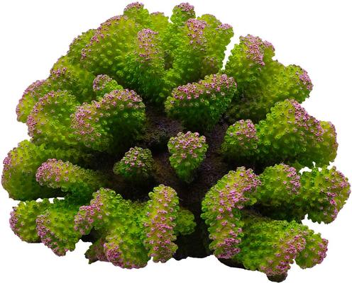 Show full view: Underwater Treasures Toadstool Coral Fish Ornament, Envy slide 1 of 1