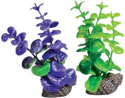 Underwater Treasures Variety Combo Fish Ornament, 2 count