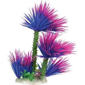 Underwater Treasures Paradise Fern Fish Plant