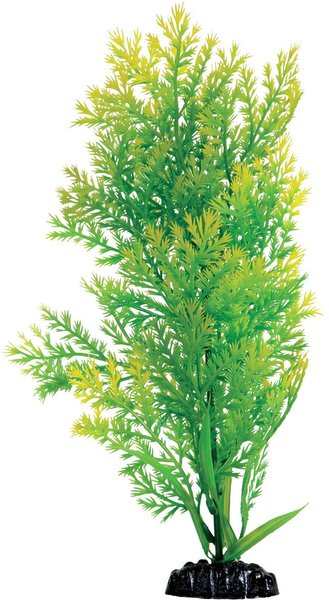 Underwater Treasures Water Violet Fish Plant