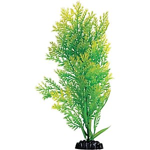 Underwater Treasures Water Violet Fish Plant, 12-in