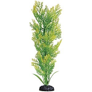 Underwater Treasures Water Violet Fish Plant, 16-in