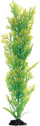 Underwater Treasures Water Violet Fish Plant, 20-in