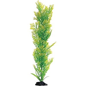 Underwater Treasures Water Violet Fish Plant, 20-in