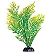 Show in main carousel: Underwater Treasures Water Violet Fish Plant, 8-in slide 1 of 2