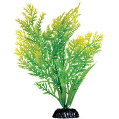 Underwater Treasures Water Violet Fish Plant, 8-in